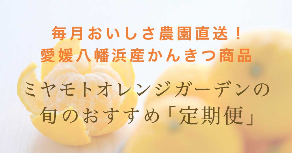 ミヤモトオレンジガーデンの旬のおすすめ「定期便」