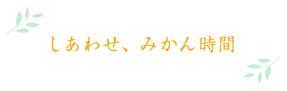 しあわせ、みかん時間