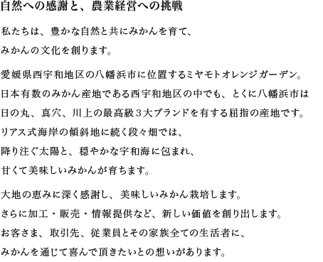 rep_text