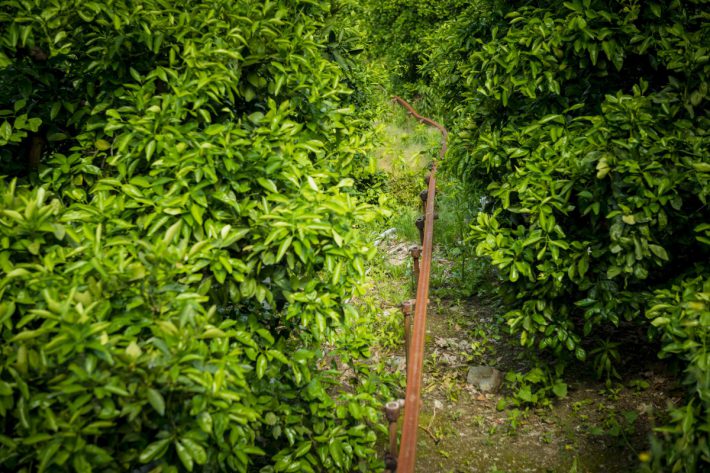 モノラックの線路がどこまで続く