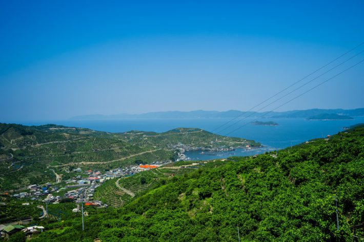 ナカノから見下ろす、みかんの段々畑と宇和海と佐田岬半島